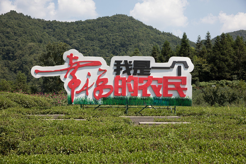 5b98d2b1a31033b41c02efff_副本.jpg