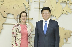 NHC vice-minister meets with Israeli ambassador to China.jpg